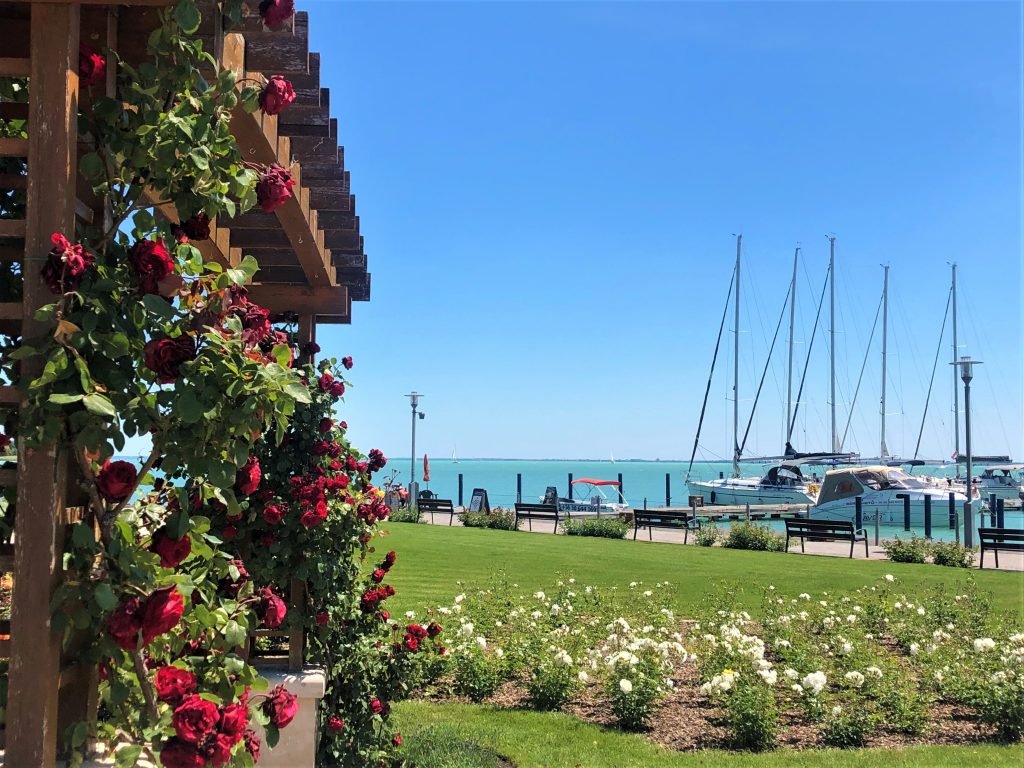 Balaton kerékpárral - bringakör kezdőknek és haladóknak 3 IMG 2566